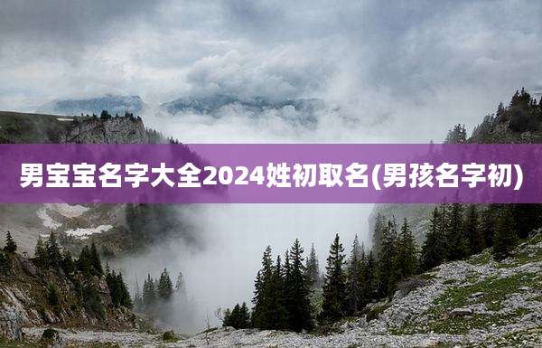 男宝宝名字大全2024姓初取名(男孩名字初)
