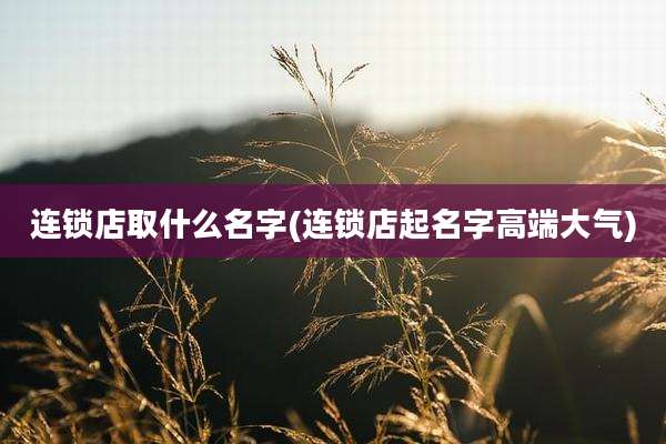 连锁店取什么名字(连锁店起名字高端大气)