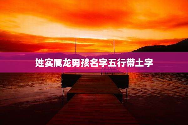 姓实属龙男孩名字五行带土字