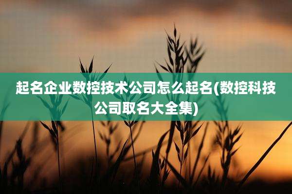 起名企业数控技术公司怎么起名(数控科技公司取名大全集)