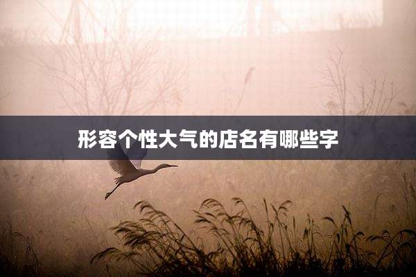 形容个性大气的店名有哪些字