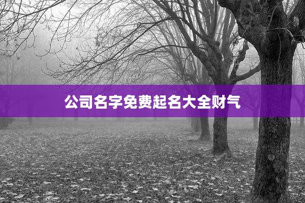 公司名字免费起名大全财气