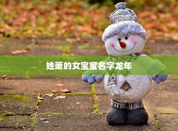 姓萧的女宝宝名字龙年