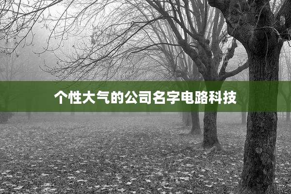 个性大气的公司名字电路科技