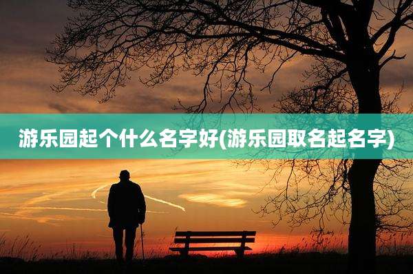 游乐园起个什么名字好(游乐园取名起名字)