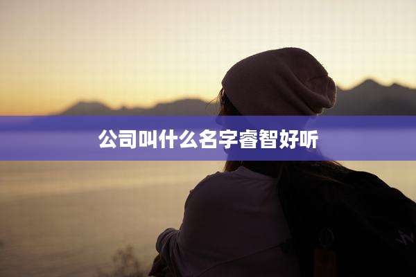 公司叫什么名字睿智好听