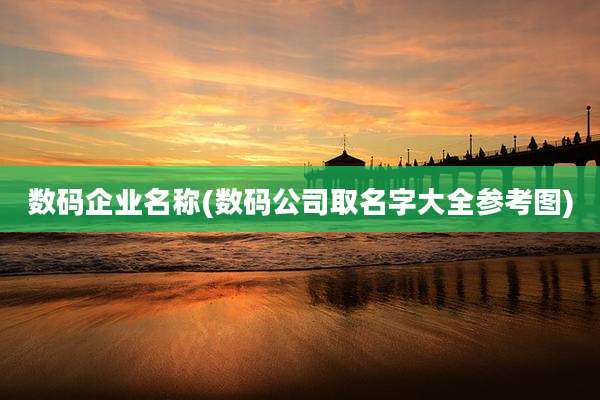 数码企业名称(数码公司取名字大全参考图)
