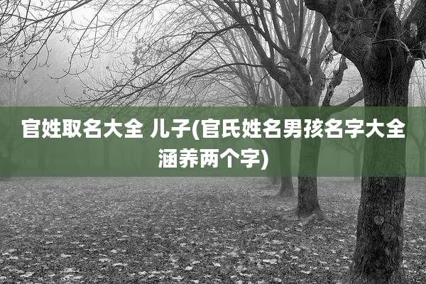 官姓取名大全 儿子(官氏姓名男孩名字大全涵养两个字)