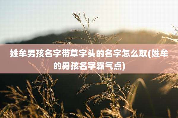 姓牟男孩名字带草字头的名字怎么取(姓牟的男孩名字霸气点)