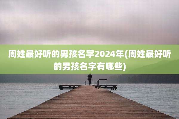 周姓最好听的男孩名字2024年(周姓最好听的男孩名字有哪些)