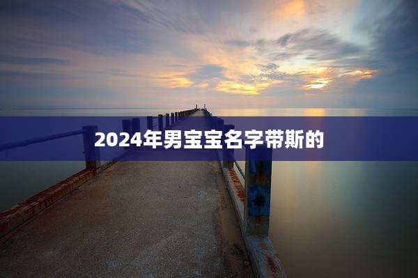 2024年男宝宝名字带斯的