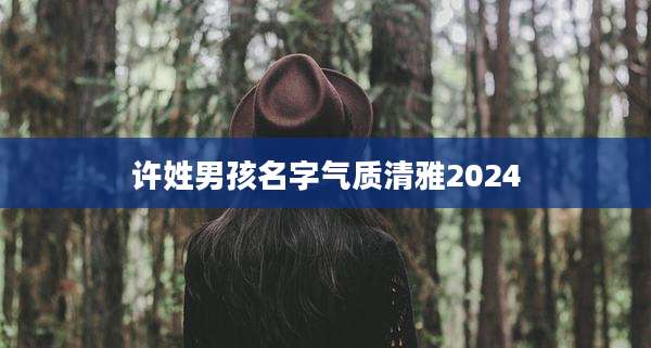 许姓男孩名字气质清雅2024