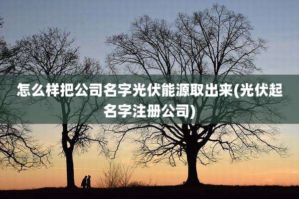 怎么样把公司名字光伏能源取出来(光伏起名字注册公司)