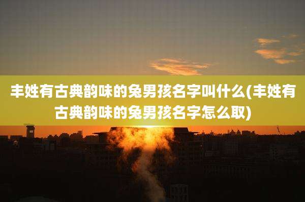 丰姓有古典韵味的兔男孩名字叫什么(丰姓有古典韵味的兔男孩名字怎么取)