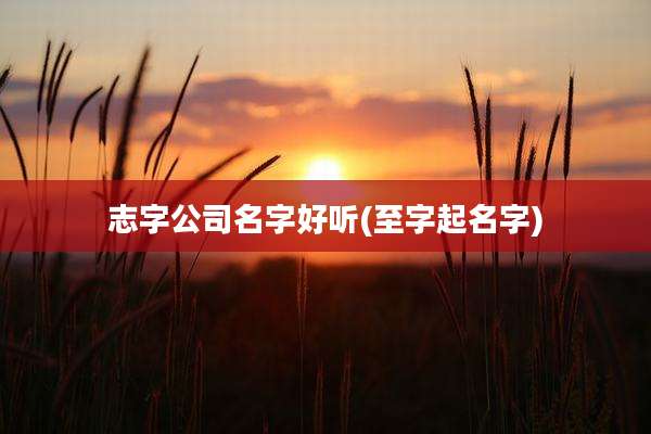 志字公司名字好听(至字起名字)