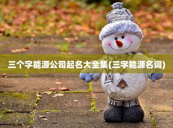 三个字能源公司起名大全集(三字能源名词)