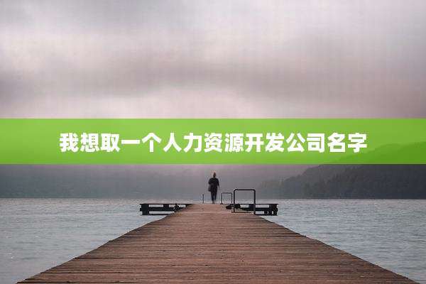 我想取一个人力资源开发公司名字