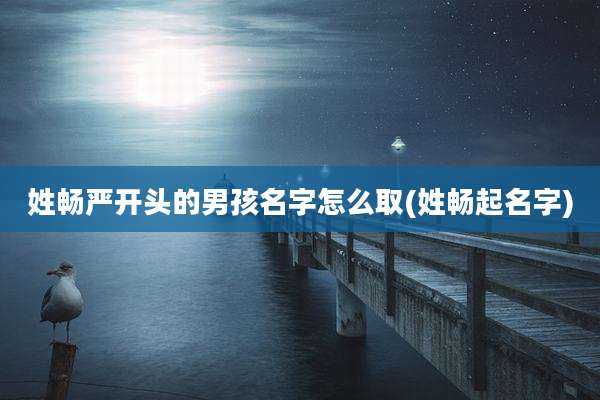 姓畅严开头的男孩名字怎么取(姓畅起名字)