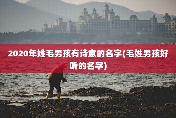 2020年姓毛男孩有诗意的名字(毛姓男孩好听的名字)