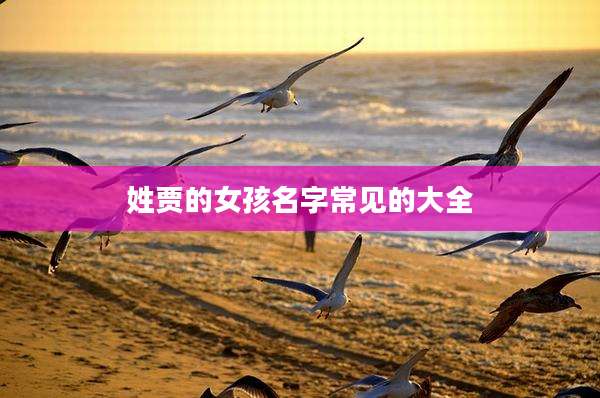 姓贾的女孩名字常见的大全