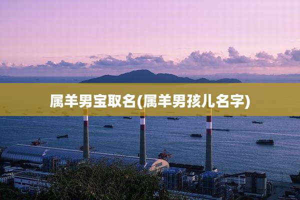 属羊男宝取名(属羊男孩儿名字)