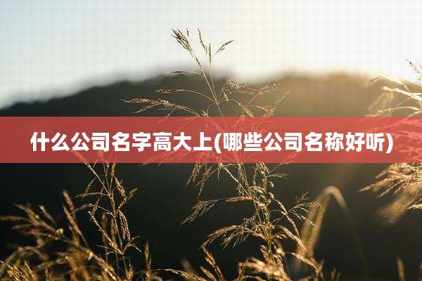 什么公司名字高大上(哪些公司名称好听)