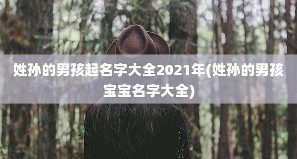 姓孙的男孩起名字大全2021年(姓孙的男孩宝宝名字大全)