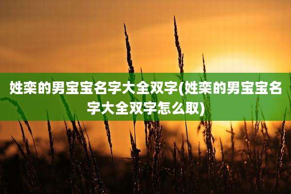 姓栾的男宝宝名字大全双字(姓栾的男宝宝名字大全双字怎么取)
