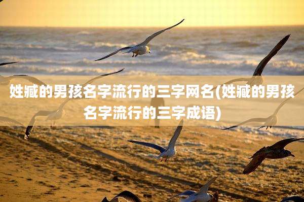 姓臧的男孩名字流行的三字网名(姓臧的男孩名字流行的三字成语)
