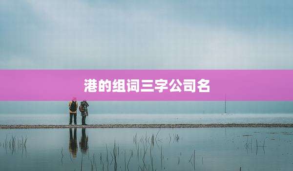 港的组词三字公司名