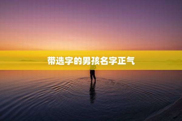 带选字的男孩名字正气