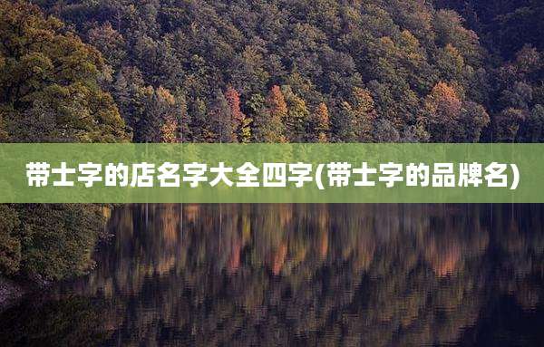 带士字的店名字大全四字(带士字的品牌名)