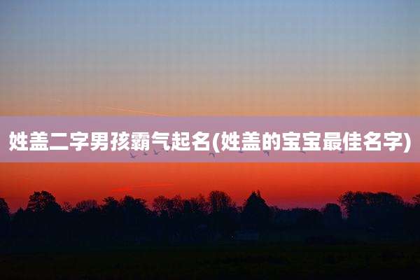 姓盖二字男孩霸气起名(姓盖的宝宝最佳名字)