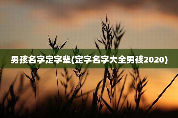 男孩名字定字辈(定字名字大全男孩2020)