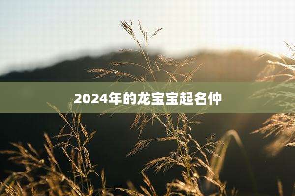 2024年的龙宝宝起名仲