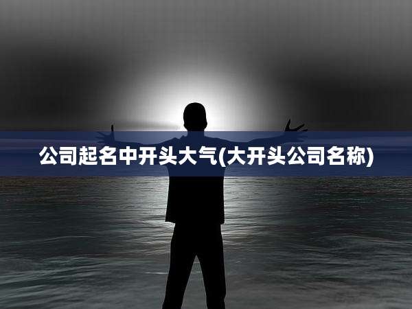 公司起名中开头大气(大开头公司名称)
