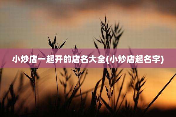 小炒店一起开的店名大全(小炒店起名字)