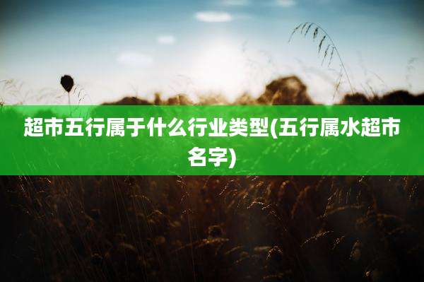 超市五行属于什么行业类型(五行属水超市名字)
