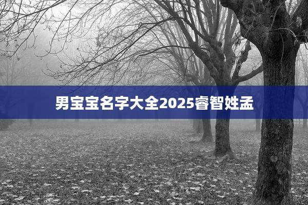 男宝宝名字大全2025睿智姓孟