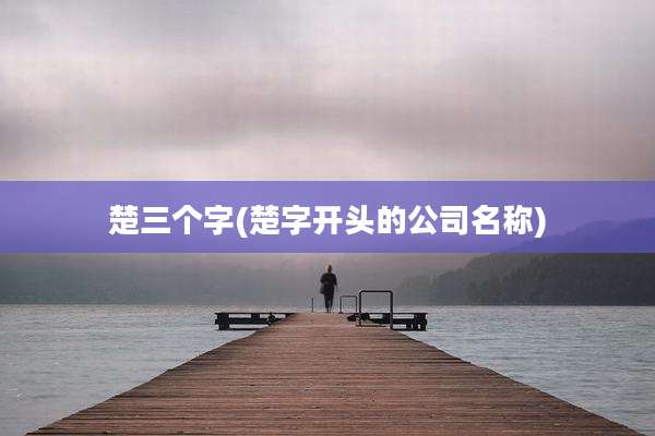 楚三个字(楚字开头的公司名称)