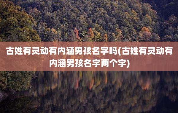 古姓有灵动有内涵男孩名字吗(古姓有灵动有内涵男孩名字两个字)