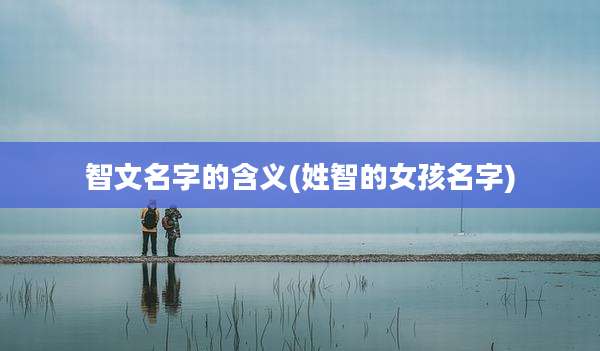 智文名字的含义(姓智的女孩名字)