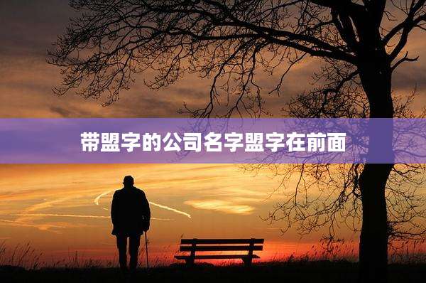带盟字的公司名字盟字在前面