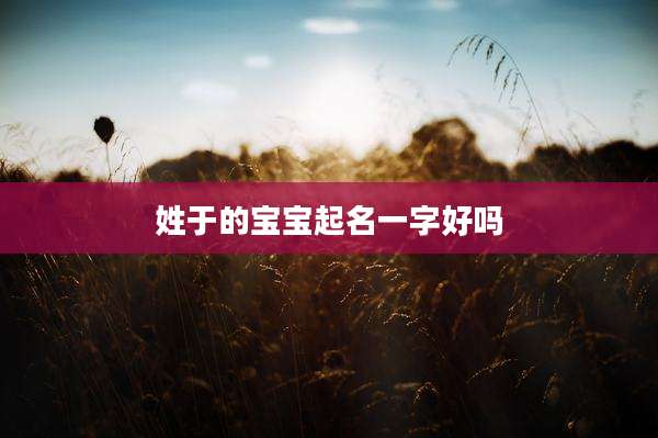 姓于的宝宝起名一字好吗