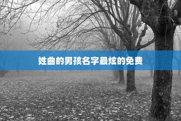 姓曲的男孩名字最炫的免费