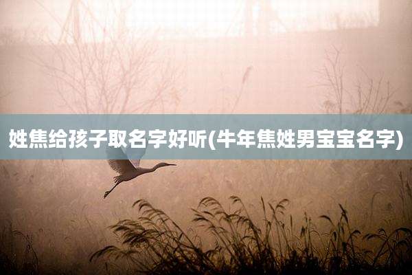 姓焦给孩子取名字好听(牛年焦姓男宝宝名字)