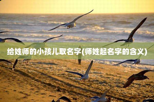 给姓师的小孩儿取名字(师姓起名字的含义)