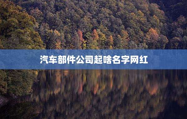 汽车部件公司起啥名字网红