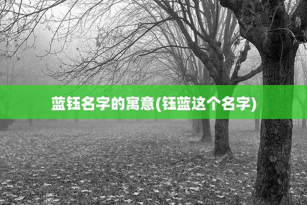 蓝钰名字的寓意(钰蓝这个名字)