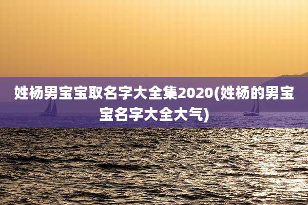 姓杨男宝宝取名字大全集2020(姓杨的男宝宝名字大全大气)